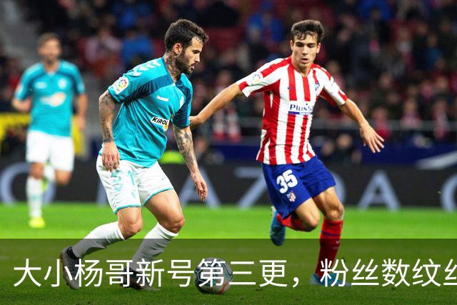 大小杨哥新号第三更，粉丝数纹丝不动