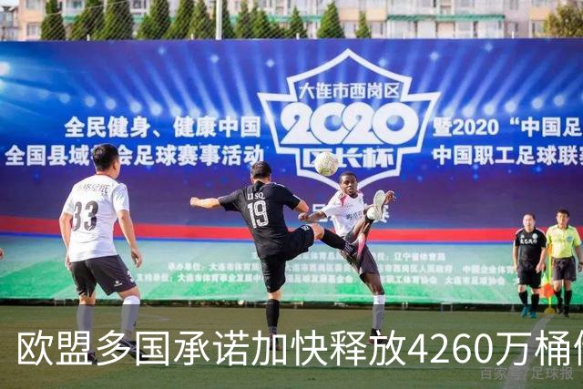 欧盟多国承诺加快释放4260万桶储油以稳定市场