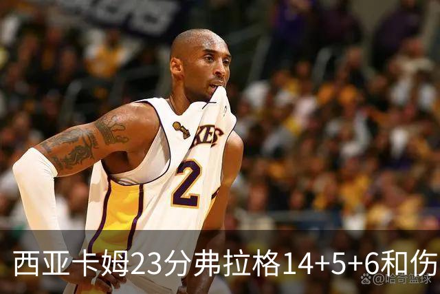 西亚卡姆23分弗拉格14+5+6&伤退 独行侠轻取步行者
